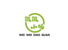 微微小观