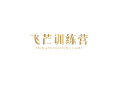 飞芒训练营