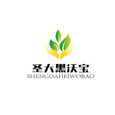 圣大黑沃宝logo设计