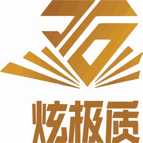 炫致极logo设计