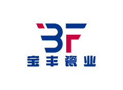 宝丰瓷业