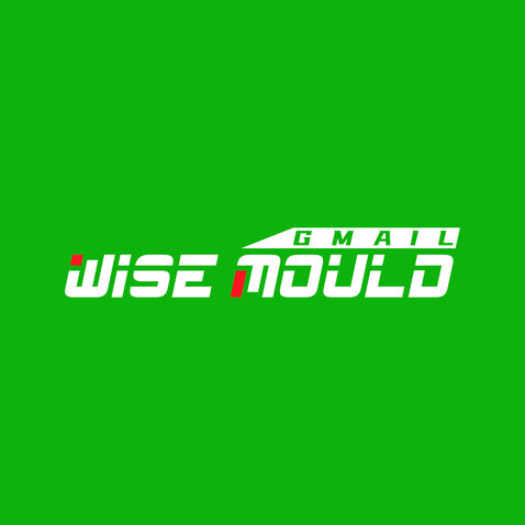 WISEMOULDlogo设计