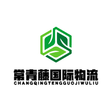 常青藤国际物流