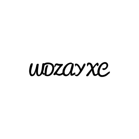 WDZAYXClogo设计