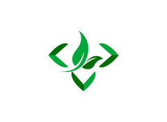 绿叶