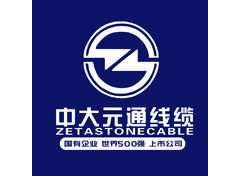 中大元