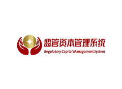 监管资本管理系统