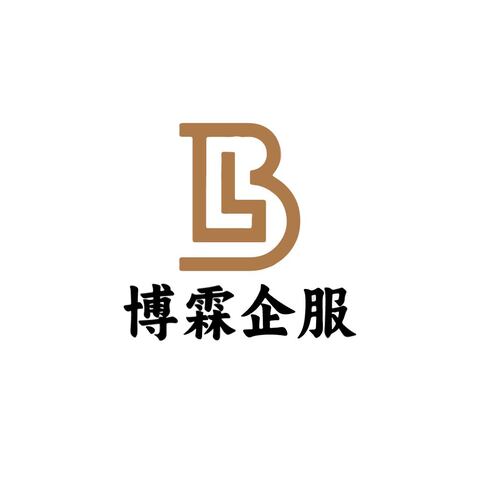 博霖企服logo设计