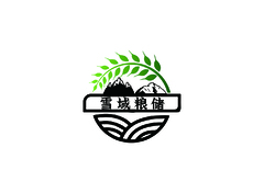 雪域粮储公司名字