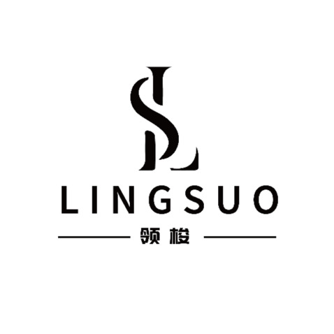 LSlogo设计