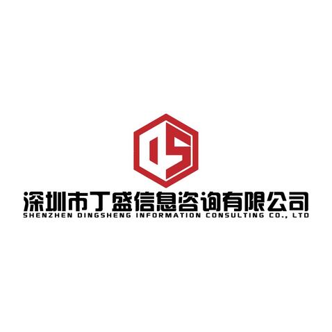 深圳市丁盛信息咨询有限公司logo设计