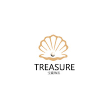 宝藏饰品