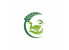 鹅