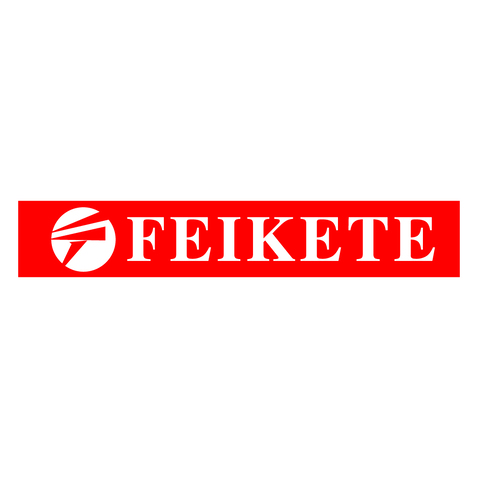 FEIKETElogo设计