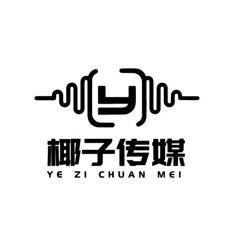 椰子传媒logo设计