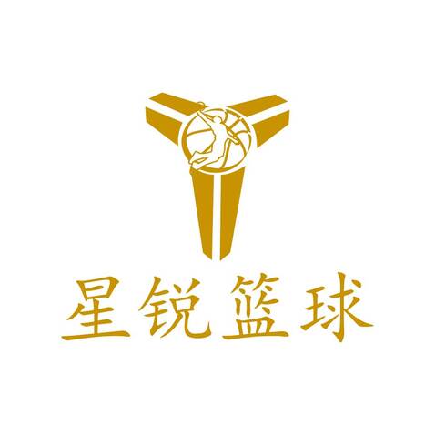 星锐篮球logo设计