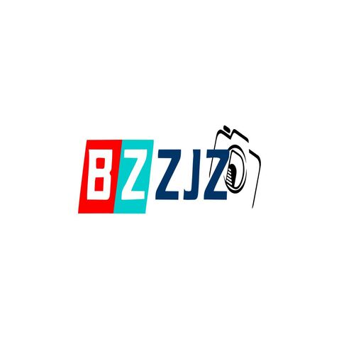 ZBZZJLlogo设计