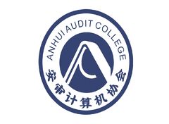 安审计算计协会