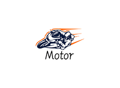Motor