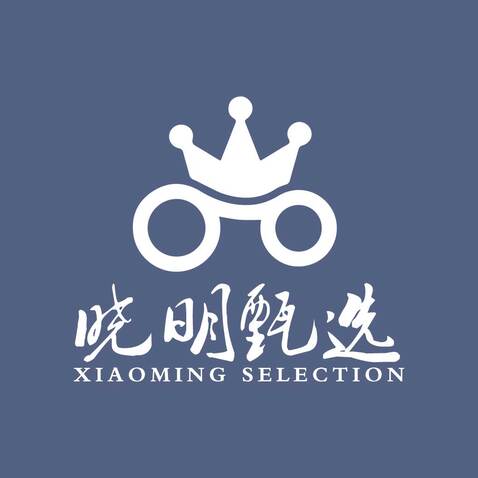 晓明甄选logo设计