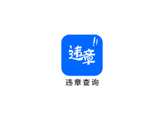 车检