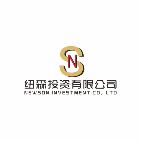 纽森投资有限公司logo设计