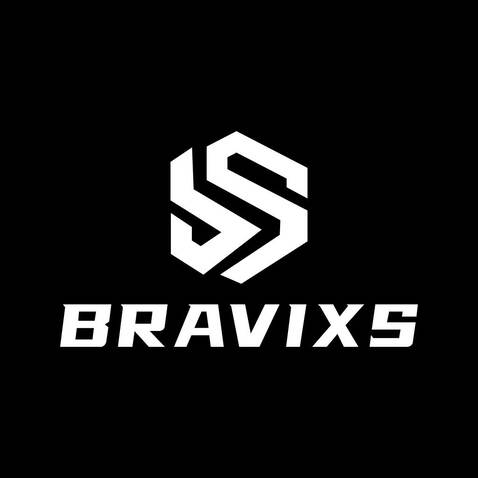 Bravixslogo设计