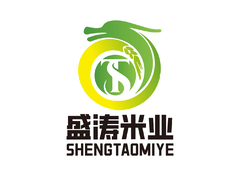 ST字母设计