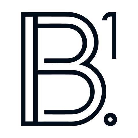 B1logo设计