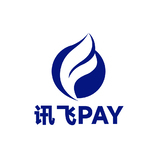 讯飞pay