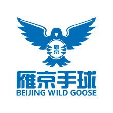 雁京手球