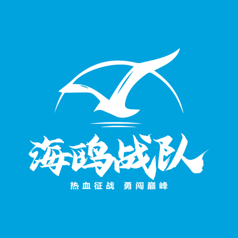 海鸥战队logo设计