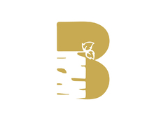 BT