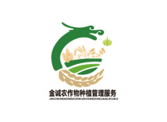 金城