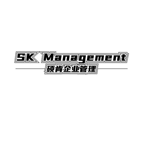 SKManagementlogo设计