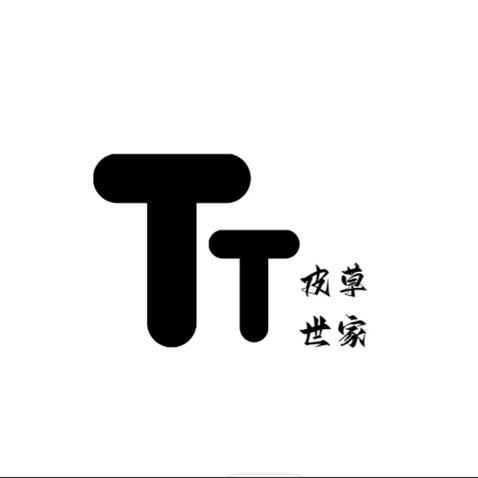 TT皮草世家logo设计