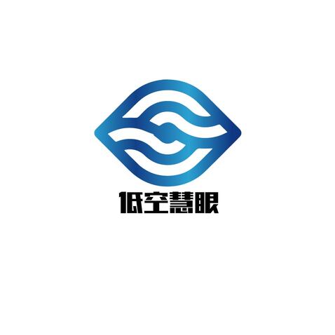 低空航拍服务logo设计