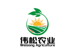 魏松