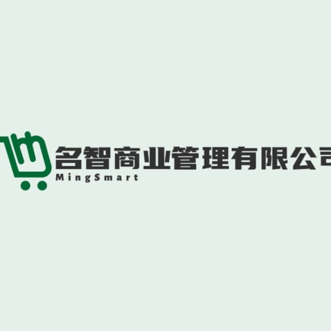 名智商业管理有限公司logo设计