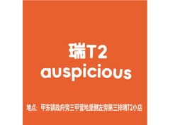 瑞T2