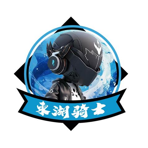 东湖骑士logo设计