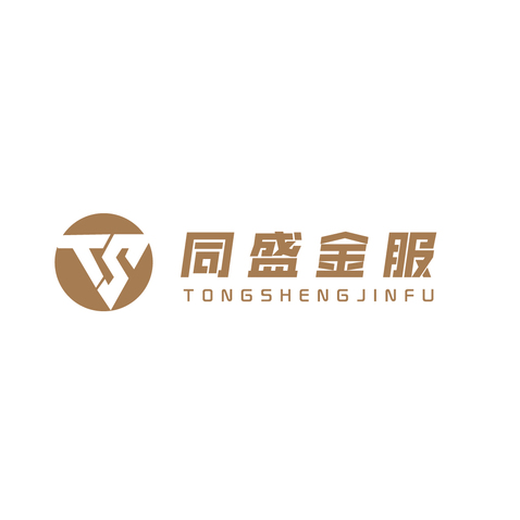 同盛金服logo设计