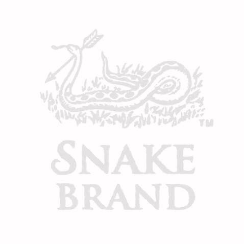 snakebrand英文矢量图标logo设计