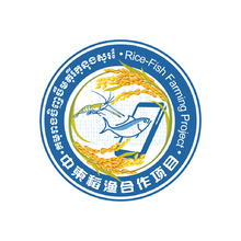 中柬稻渔合作项目