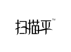 扫描平