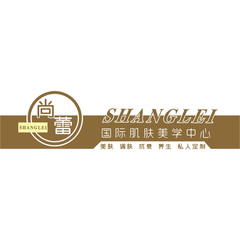 肌肤美学培训logo设计