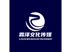 文化传媒业务