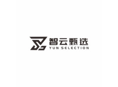 智选云标