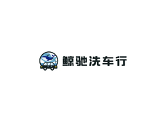 汽车清洗服务行业