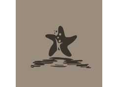 海岸之星
